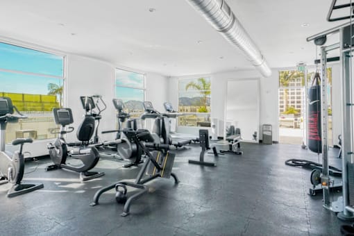Maia Avira at Glendale State of the Art Fitness Center
