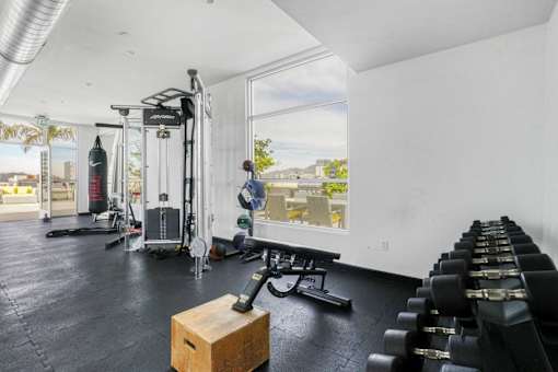 Maia Avira at Glendale State of the Art Fitness Center