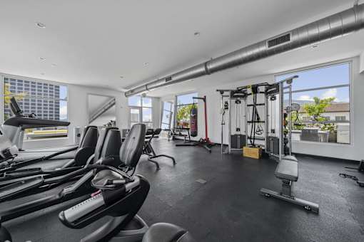 Maia Avira at Glendale State of the Art Fitness Center