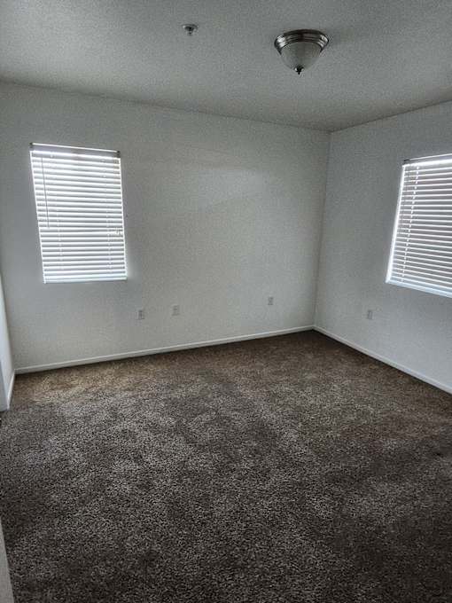 A room with carpeted floor and two windows.