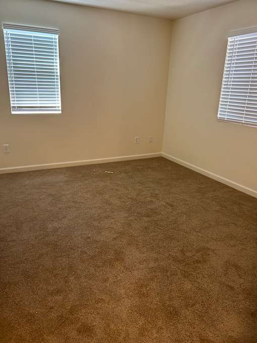 A room with a brown carpet and two windows.