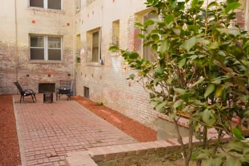 A tree is in front of a brick wall.