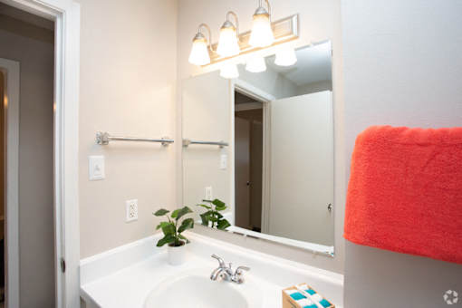 A bathroom with a white sink and a mirror above it.