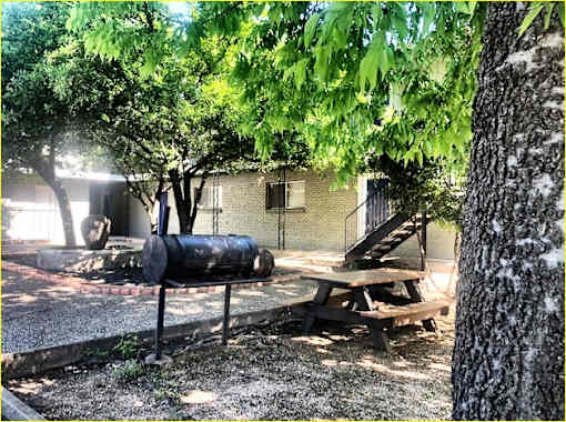A tree with a barrel and a picnic table underneath it.