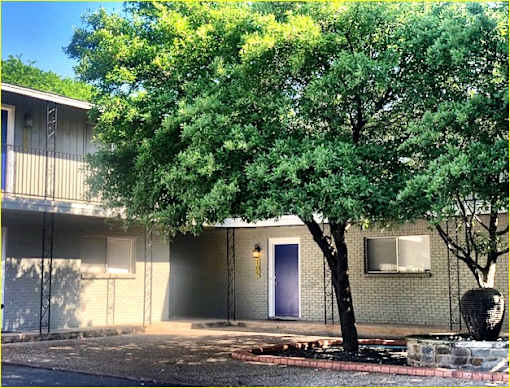 A tree in front of a building with a blue door.