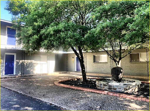 A tree in front of a building with a round planter.