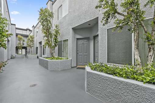 A long, narrow courtyard with a building on one side and a tree on the other.