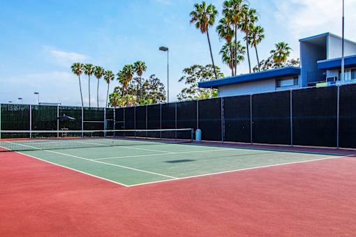 A tennis court with a black fence and palm trees in the background.
