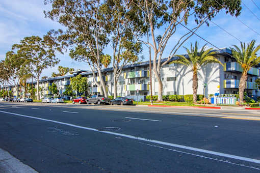 A street with cars and a building with palm trees in front.