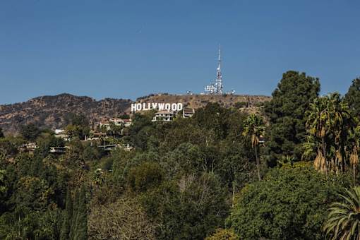 The Hollywood sign is seen on a hill with trees and a tower in the background.