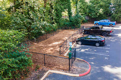 Larkspur West Linn Dog Park