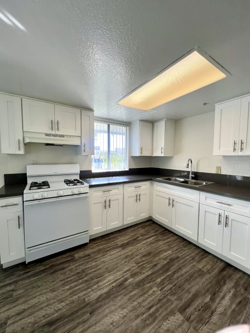 Park Tower kitchen