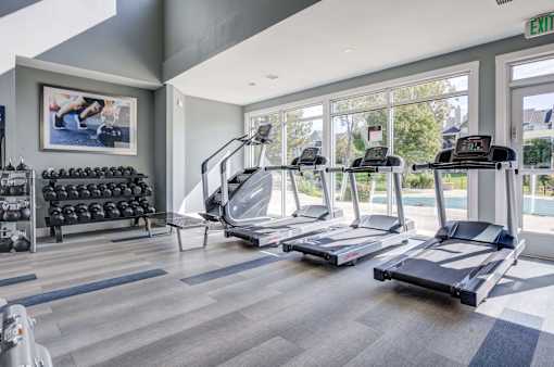 A gym with treadmills, weights, and a painting of a person exercising.