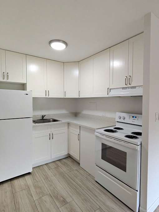 Punahou Circle kitchen with a stove and sink.
