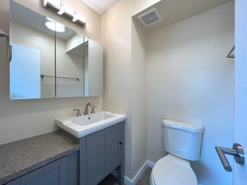 Punahou Heights Bathroom Vanity