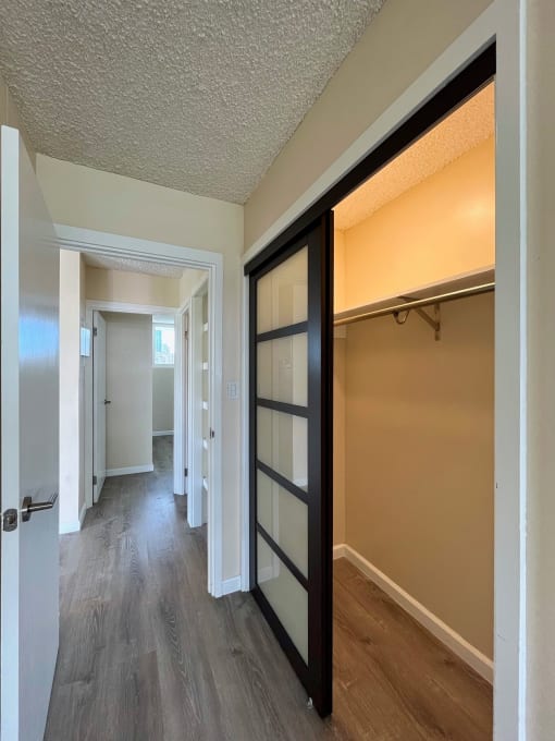 Punahou Heights Bedroom Closet with Light