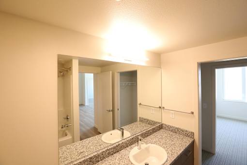 Redondo Heights Bathroom and Vanity