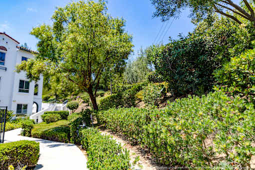 Horizons at Calabasas Landscaped Exterior Pathway