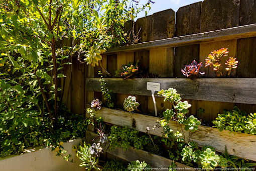 Horizons at Calabasas wooden fence with plants growing on it.