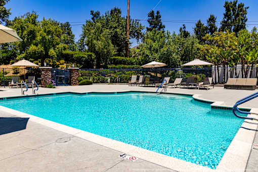 Horizons at Calabasas swimming pool surrounded by trees and lounge chairs.