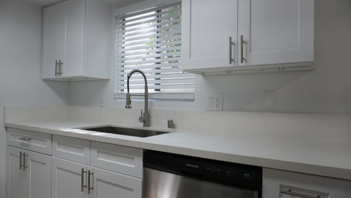 The Canyon at Sherman Oaks Unit 05 kitchen sink