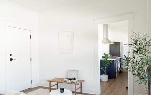 A room with a white door, a table with a printer and a lamp, and a plant on the right.