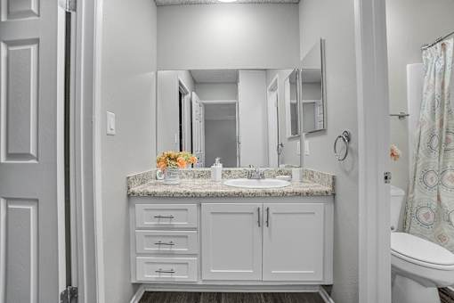 Tierra Del Sol 1 Bedroom Bathroom Sink and Vanity