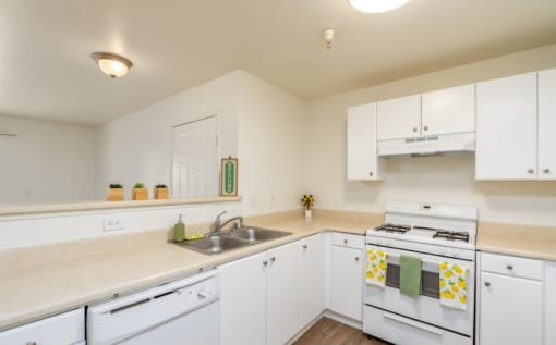 Twin Palm kitchen appliances
