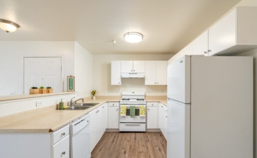 Twin Palm kitchen
