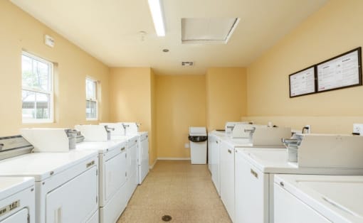 Twin Palm laundry facility