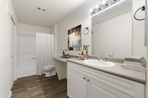 Waterford Place bathroom