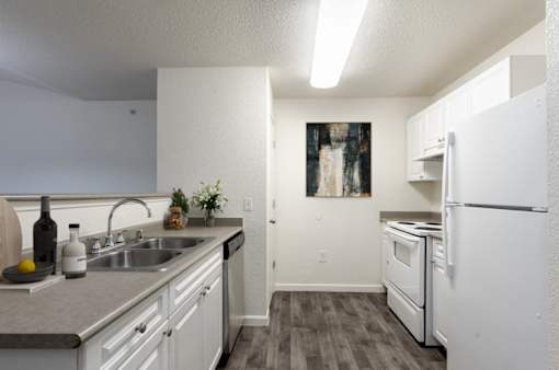 Waterford Place kitchen