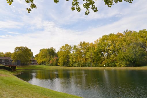 Photos and Video of Meridian Court South in Indianapolis IN