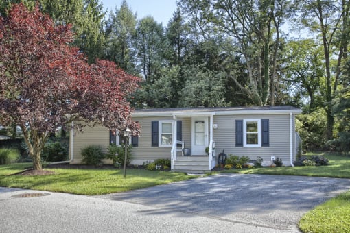 a home with a tree in front of it