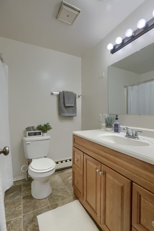 a bathroom with a toilet and a sink and a mirror