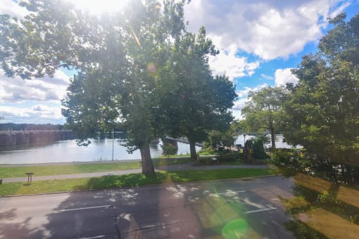 Scenic View