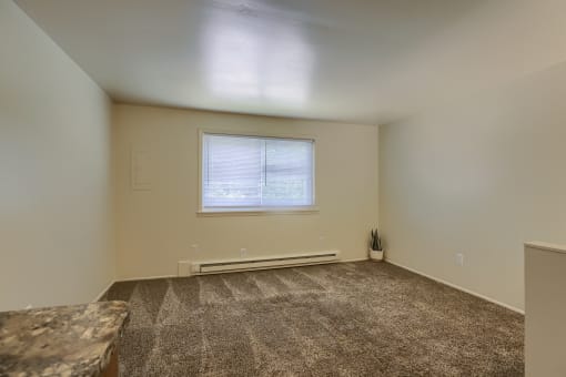 an empty living room with carpet and a window