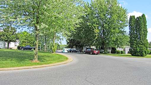 A tree-lined street with cars parked on the side.