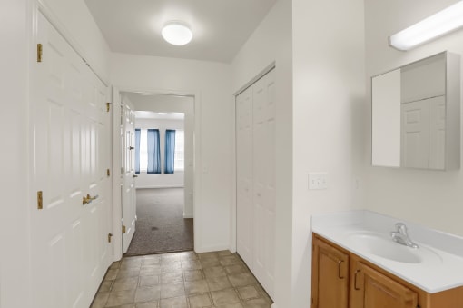 a bathroom with a sink and a mirror