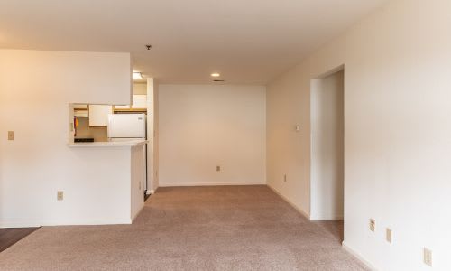 A large empty room with a carpeted floor and white walls.