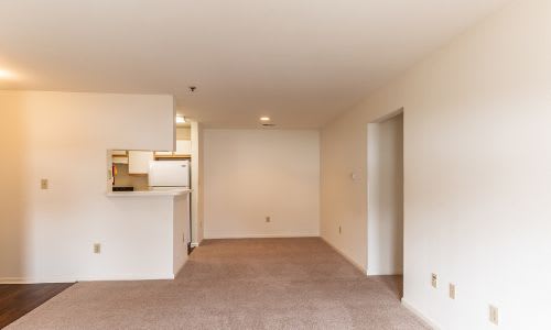 A large, empty room with a carpeted floor and white walls.