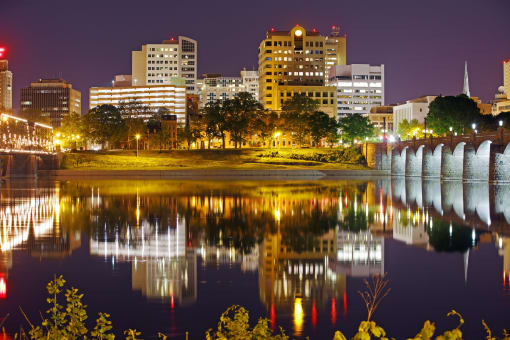the city at night
