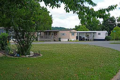 A grassy area with a tree and a house in the background.