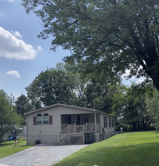 a home with a large yard and a large tree in front of it