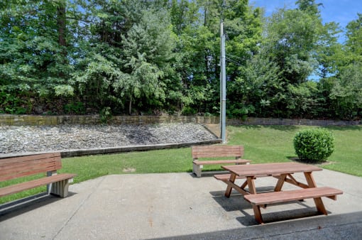 a group of benches in a park with trees in the background