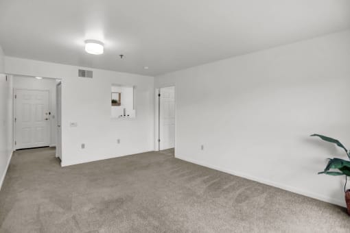 a bedroom with white walls and carpet