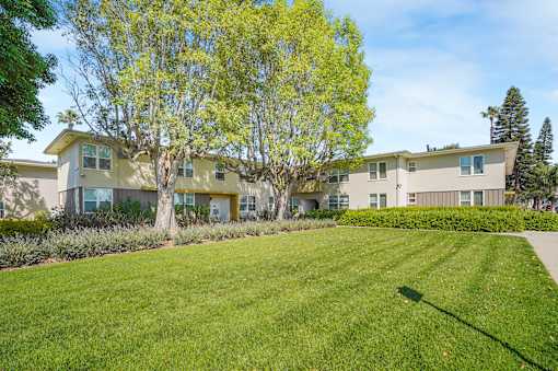 A tree in front of a building with a green lawn in front of it.