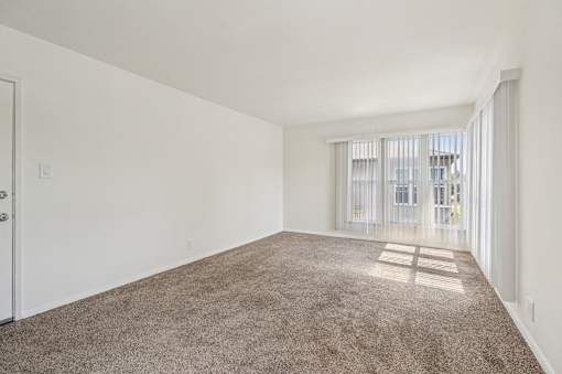 A room with a carpeted floor and a door.