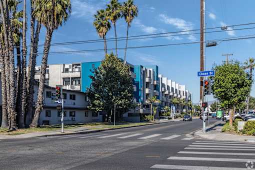 a city street with buildings and palm trees