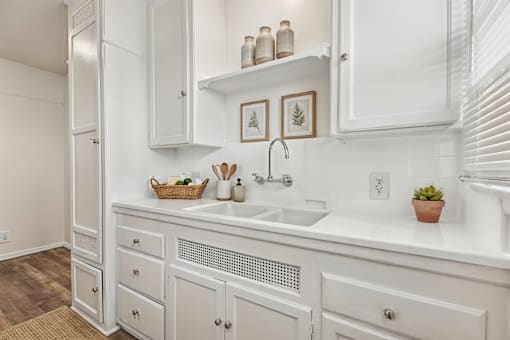 A white kitchen with a sink and a potted plant.